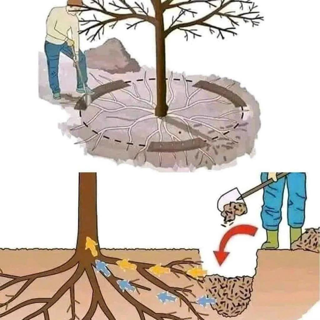 Step 1 - चर तयार करा